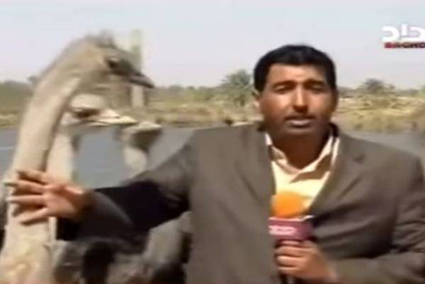 بالفيديو.. مذيع  يتعرض لموقف محرج على الهواء