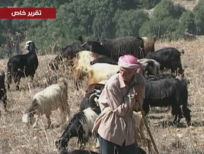 الراعي يستقيل!!!