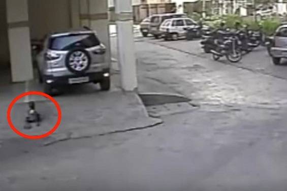 بالفيديو.. رجل يدهس طفلاً في الثالثة.. والسبب ؟