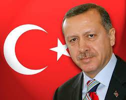 اردوغان يدعو إلى تعديل دستوري بعد فوزه الانتخابي