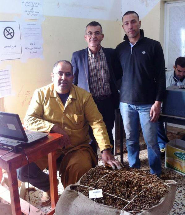 الريجي تسلّم محاصيل التبغ من قرى قضاء صور