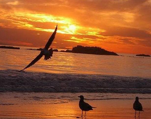 بكائية الغد العائد