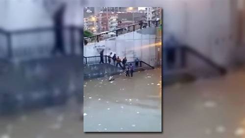 بالفيديو - حمار ينقذ شابين من الغرق!