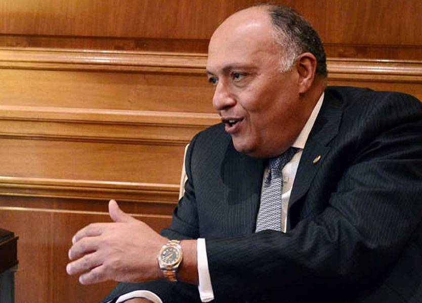 وزير الخارجية المصري: تحذيراتنا من الإرهاب لم يؤخذ بها
