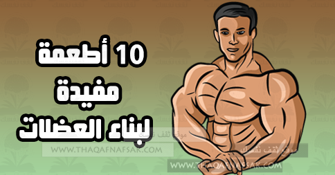 أهم 10 أطعمة مفيدة لبناء العضلات