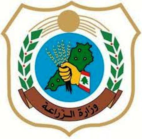 "الزراعة" ذكرت الراغبين بزراعة القمح والشعير بالشروط المطلوبة