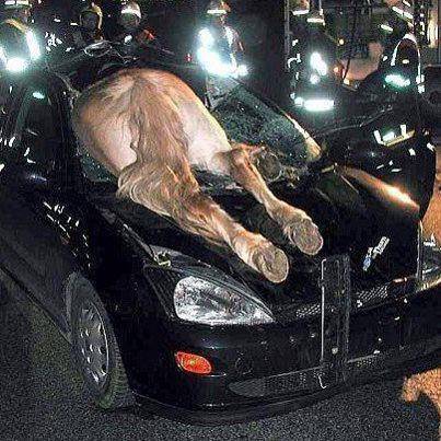 حوادث سيارات خطيرة!