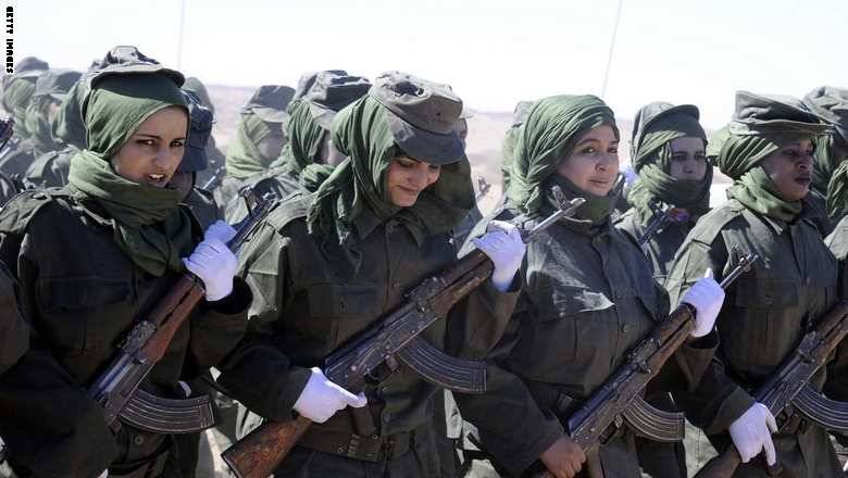 الجزائر ترّد على خطاب العاهل المغربي.. والبوليساريو لا تستبعد العودة إلى الحرب