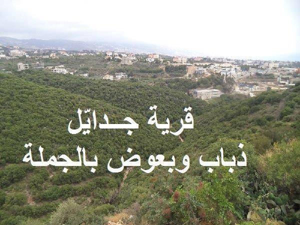 جدايّل الجبيلية: ذباب بالملايين، فأين المسؤولين؟
