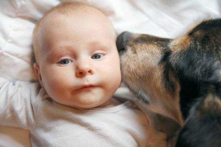 بالفيديو: رضيع يتنافس مع كلب بالنباح