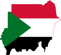 العثور على الصندوقين الاسودين لطائرة الشحن التي سقطت في جنوب السودان