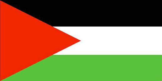 أكثر من 30 إصابة بالمواجهات بين متظاهرين فلسطينيين والقوات الإسرائيلية على المدخل الشمالي لمدينة رام الله (سكاي نيوز)