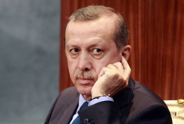 السلطات تكرّس فوز حزب اردوغان في انتخابات تركيا الاخيرة