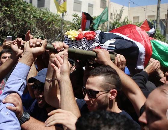 بالفيديو: كيف أصبح بنك الأعضاء في "إسرائيل" الأكبر في العالم؟
