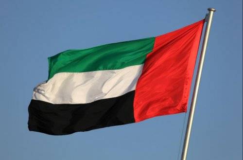 وزير داخلية الامارات أعرب عن تضامن بلاده مع الحكومة والشعب اللبناني