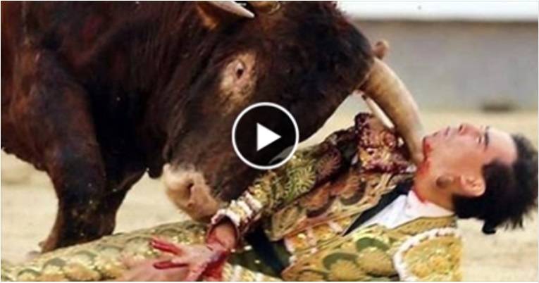 فيديو مروّع:  شاهد أخطر هجمات مصارعة الثيران