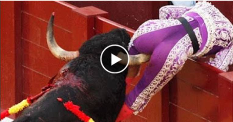 بالفيديو: شاهد أخطر المواقف المحرجة والمميتة في 2015