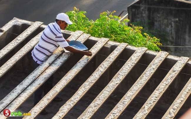 هندي يطعم 4 آلاف طائر يومياً منذ تسونامي قبل 10 سنوات!