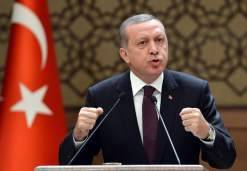 أردوغان: لا يمكن إنهاء مشكلتي الإرهاب واللاجئين دون حل في سوريا