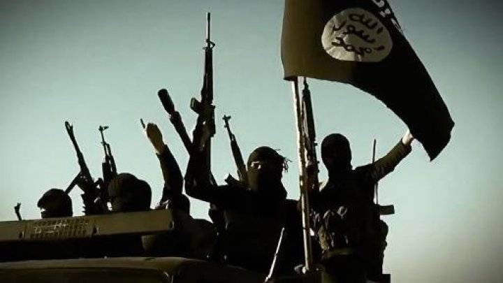 "الإنتربول" يحدد هوية 5800 جهادي أجنبي انضموا لمجموعات إرهابية