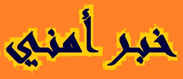 القاء قنبلة في مخيم برج الشمالي فجرا ولا اصابات