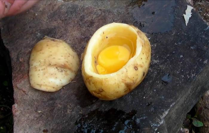 وضع هذا الرجل بيضة في حبة بطاطا...فكرة فريدة من نوعها!!