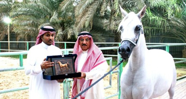 إعدام حصان شاذّ في السعودية!‏