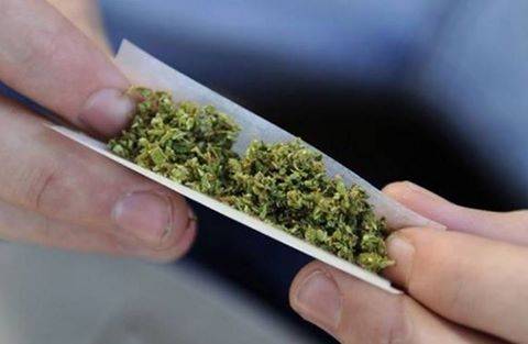 ما هو حشيش “الجوكر” الذي رفع حالات الوفيات في الاردن !؟
