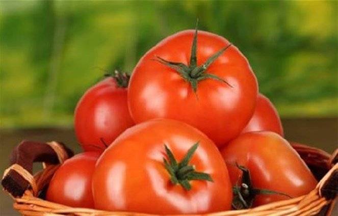 مزايا البندورة في مكافحة السرطان