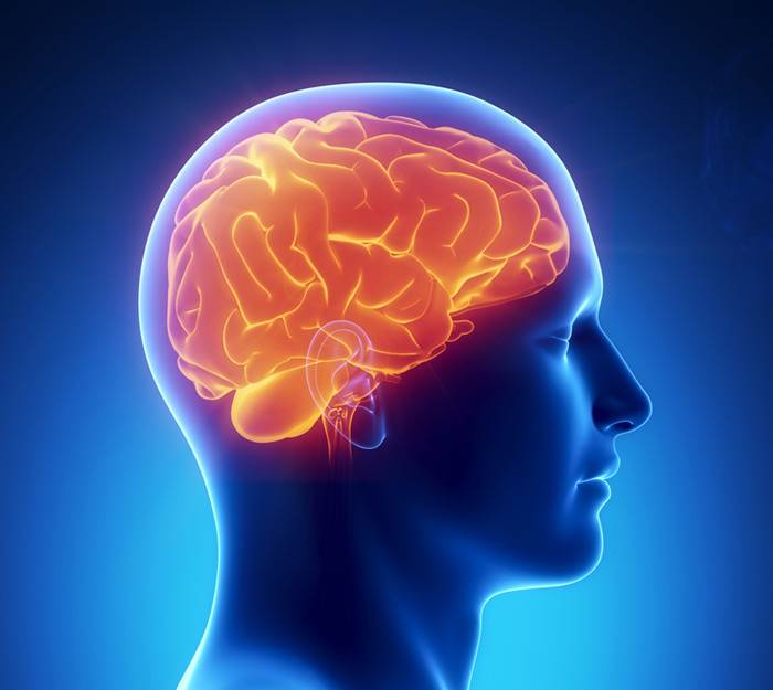 ابسط وأسرع طريقة لتحسين الذكاء