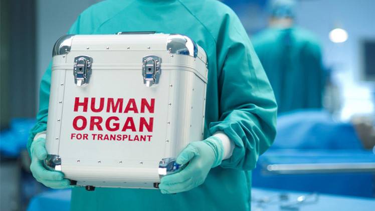 طريقة جديدة لتجميد اعضاء الجسم قد تنقذ ملايين البشر