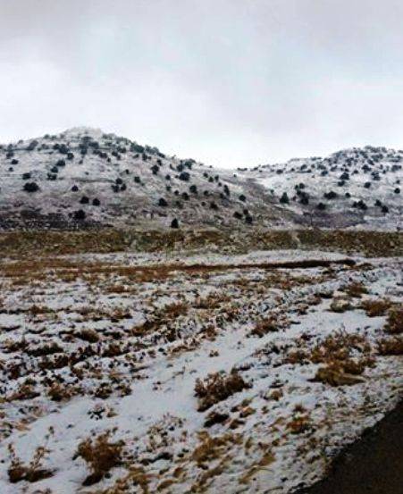 الثلوج غطت مرتفعات الضنية وطريق عيناتا الارز سالكة أمام السيارات