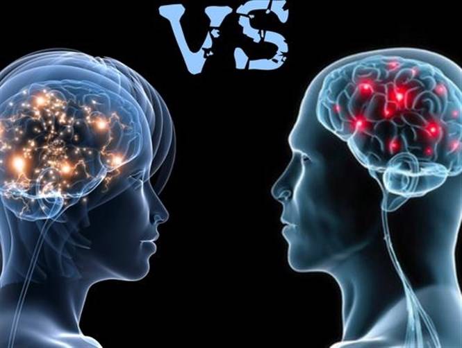 ما الفرق بين دماغيّ الرجل والمرأة؟