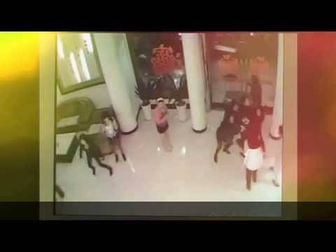 فيديو.. شاهد ماذا يحدث عندما يقع “حرامي” في يد النساء!