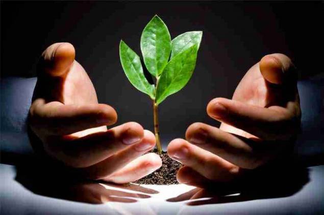 الإقتصاد الأخضر باب خلاص للبنان