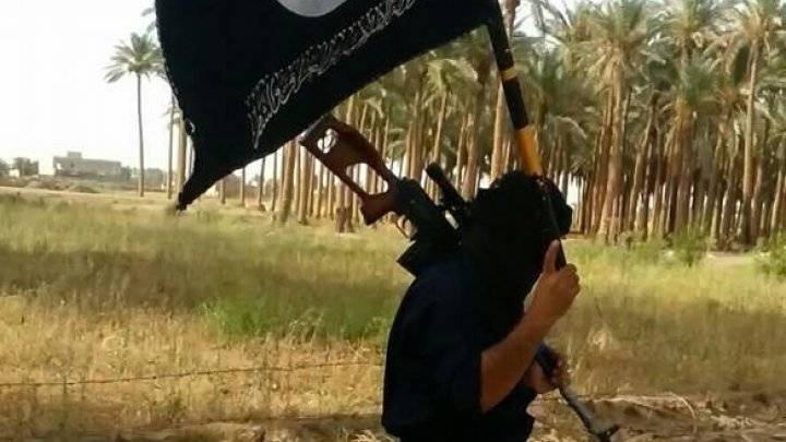 سوريا: مقاتلون تركمان يطردون تنظيم "الدولة الإسلامية" من قرى حدودية مع تركيا