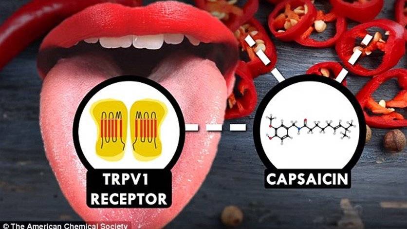 اياكم وشرب المياه أبداً بعد تناول الفلفل الحارّ