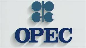 وزراء نفط اوبك يغادرون قاعة الاجتماع من دون الادلاء بتصريحات