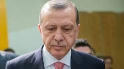 "ويكيليكس": أردوغان أعطى شخصيا الأوامر بقصف القاذفة الروسية فوق سوريا
