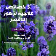 فوائد اللافندر.. و 5 خصائص علاجية صادمة!
