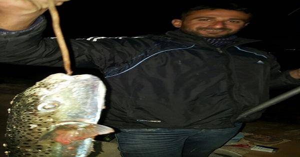 أخطر أنواع الاسماك السامة في صور