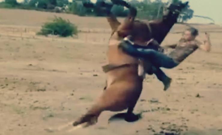 فيديو- حصان يُسقط فتاة بطريقة مخيفة