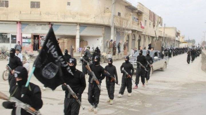 هل أصبح التطرف الديني "أفيون" الشباب المتمرد؟