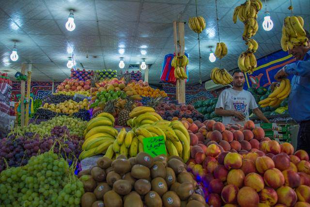 حمضيات سوريا تحل محل نظيرتها التركية في السوق الروسية