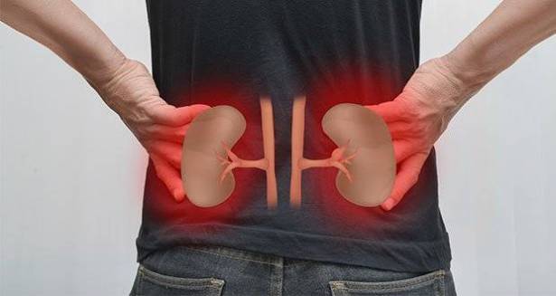 7 أطعمة خارقة تنظف كليتيكم