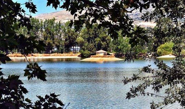 اختطاف بهدف الزواج.. يشعل الوضع في تعنايل