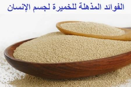 الفوائد المذهلة للخميرة في جسم الإنسان!