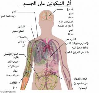 لماذا يصيب السرطان مدخِناً دون آخر؟