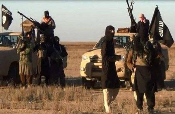 مقتل عدد من قيادات داعش في الفلوجة