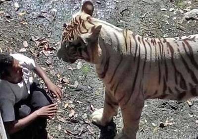 صور التقطت قبل الموت بدقائق معدودة